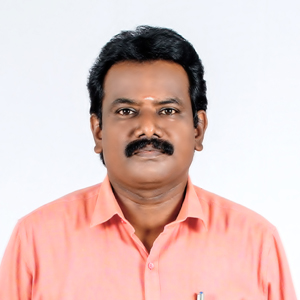 Mr P PILLAPPAN